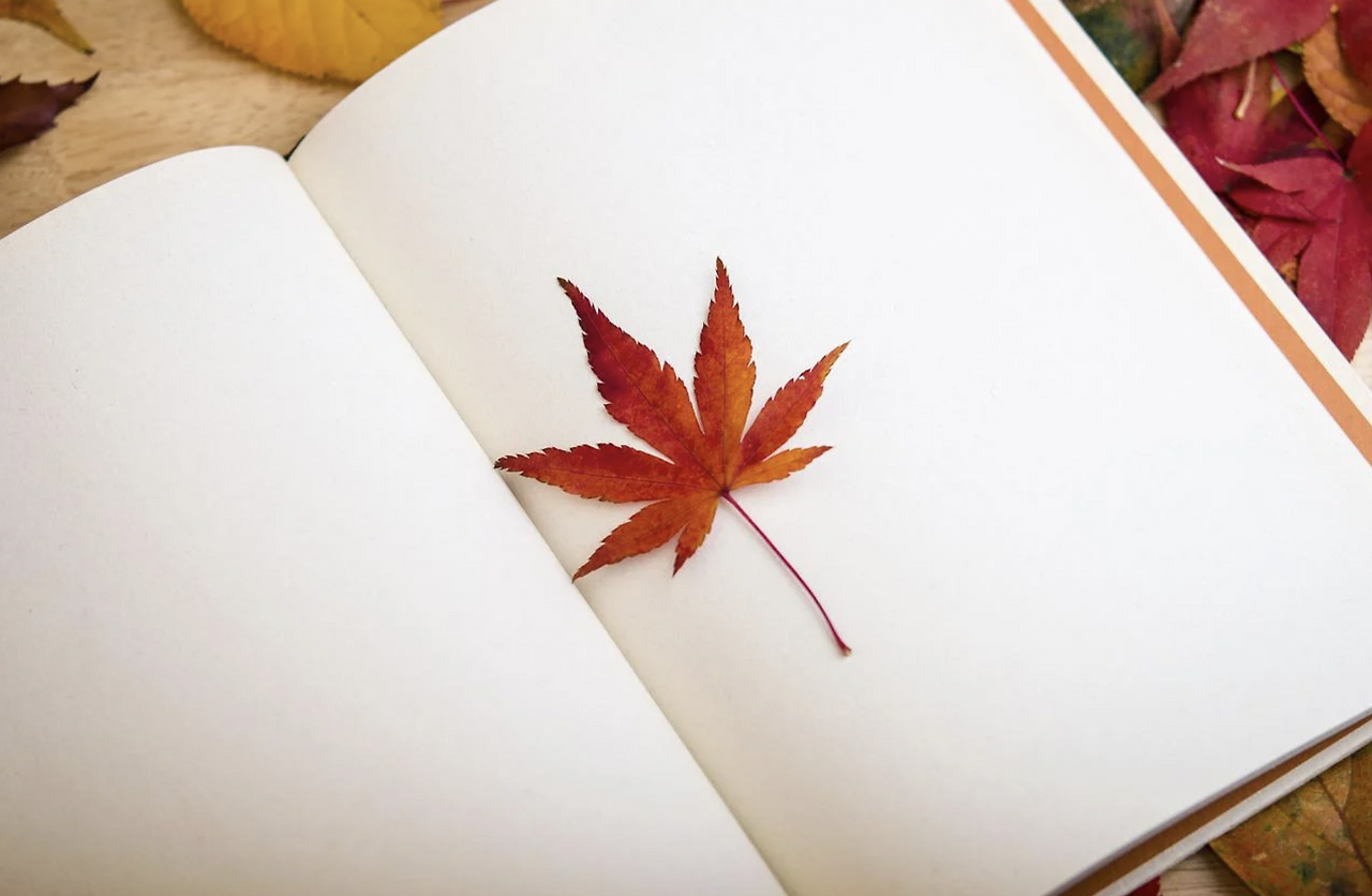 스크린샷 2022-06-13 오전 8.43.30.png