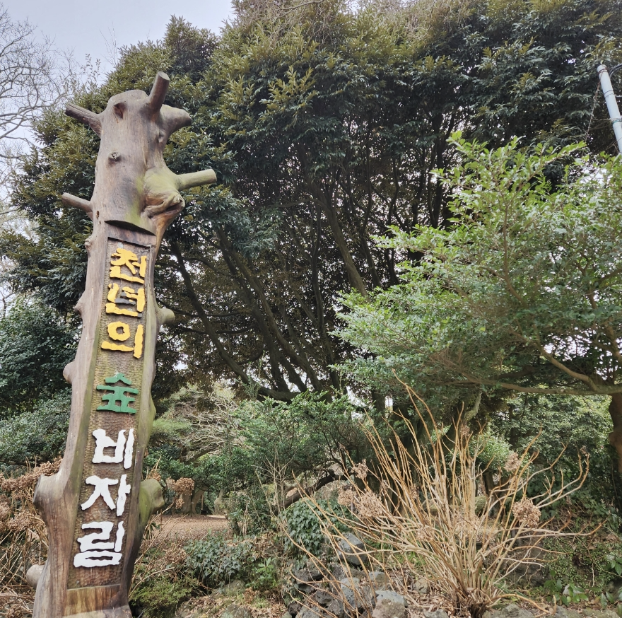 스크린샷 2023-02-06 오후 9.07.01.png