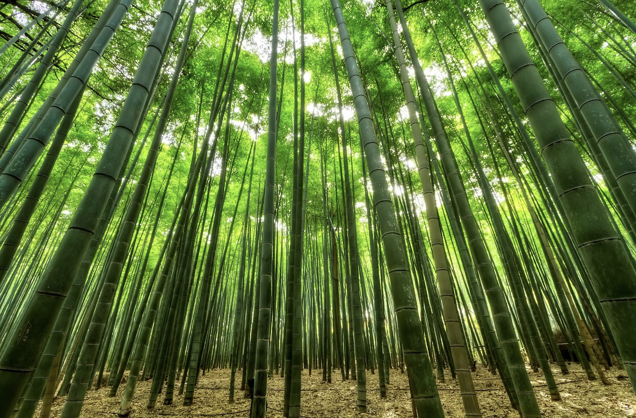 스크린샷 2022-11-28 오전 9.22.49.png