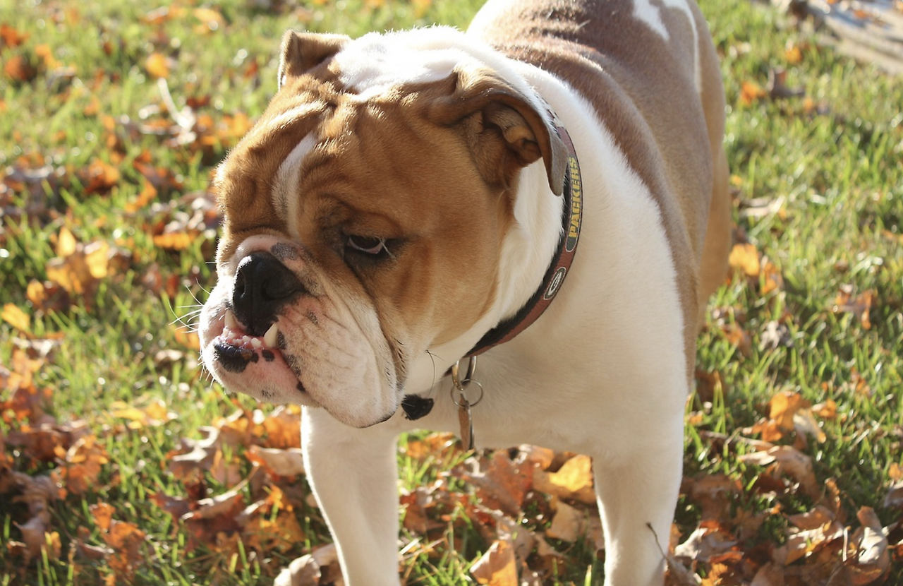 스크린샷 2023-07-04 00.42.01.png