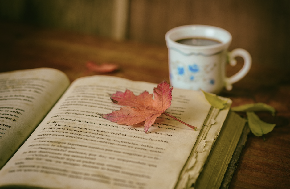 스크린샷 2023-08-23 090227.png