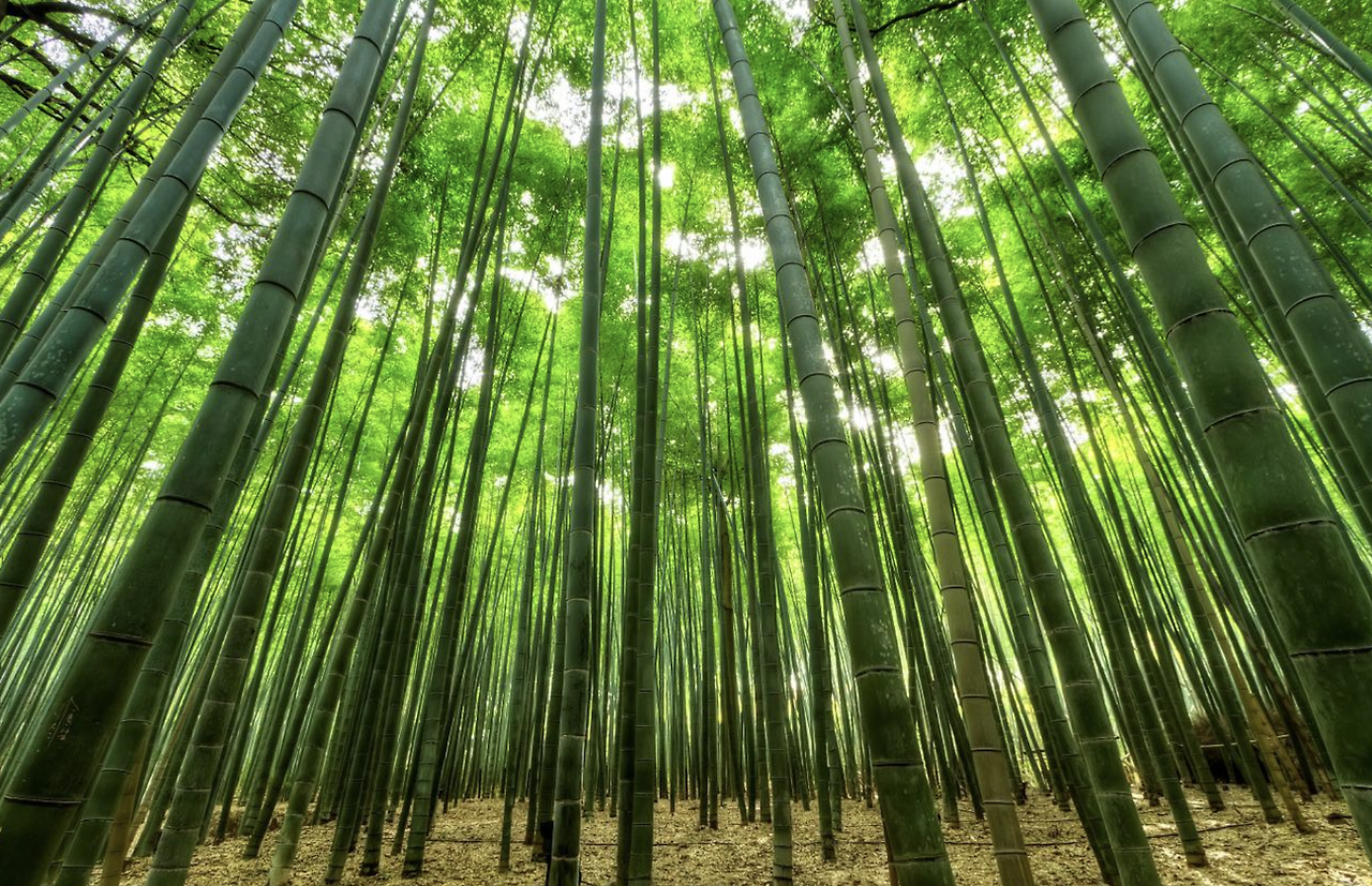 스크린샷 2022-06-02 오후 2.53.13.png