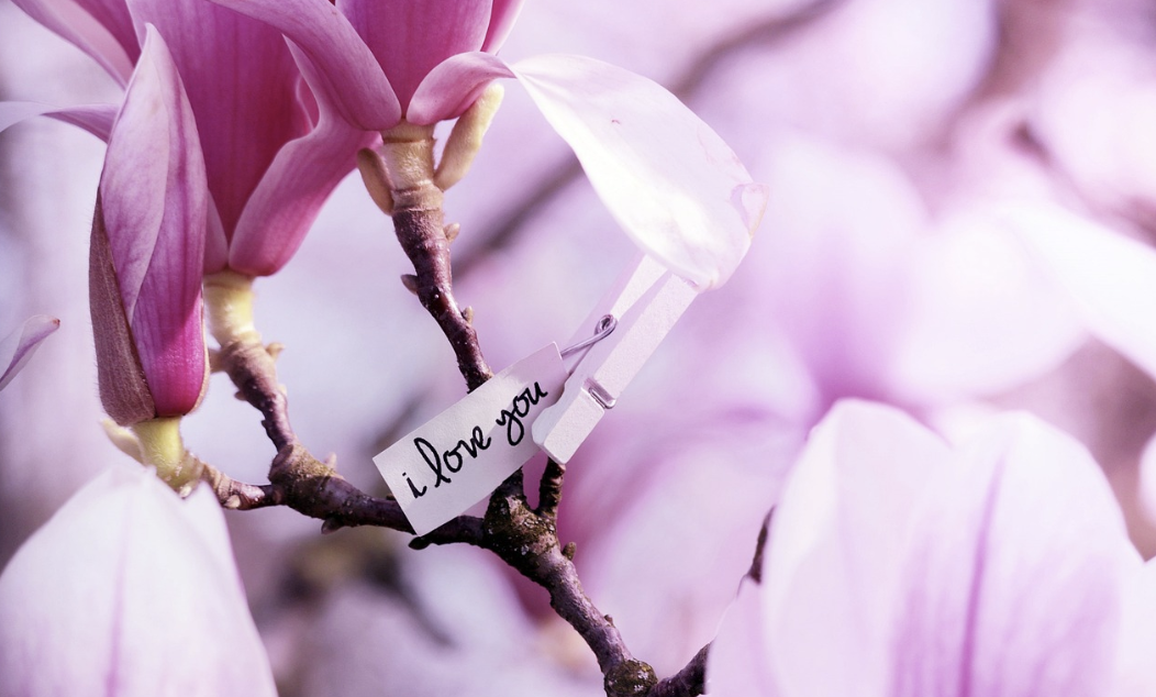 스크린샷 2023-09-07 174053.png