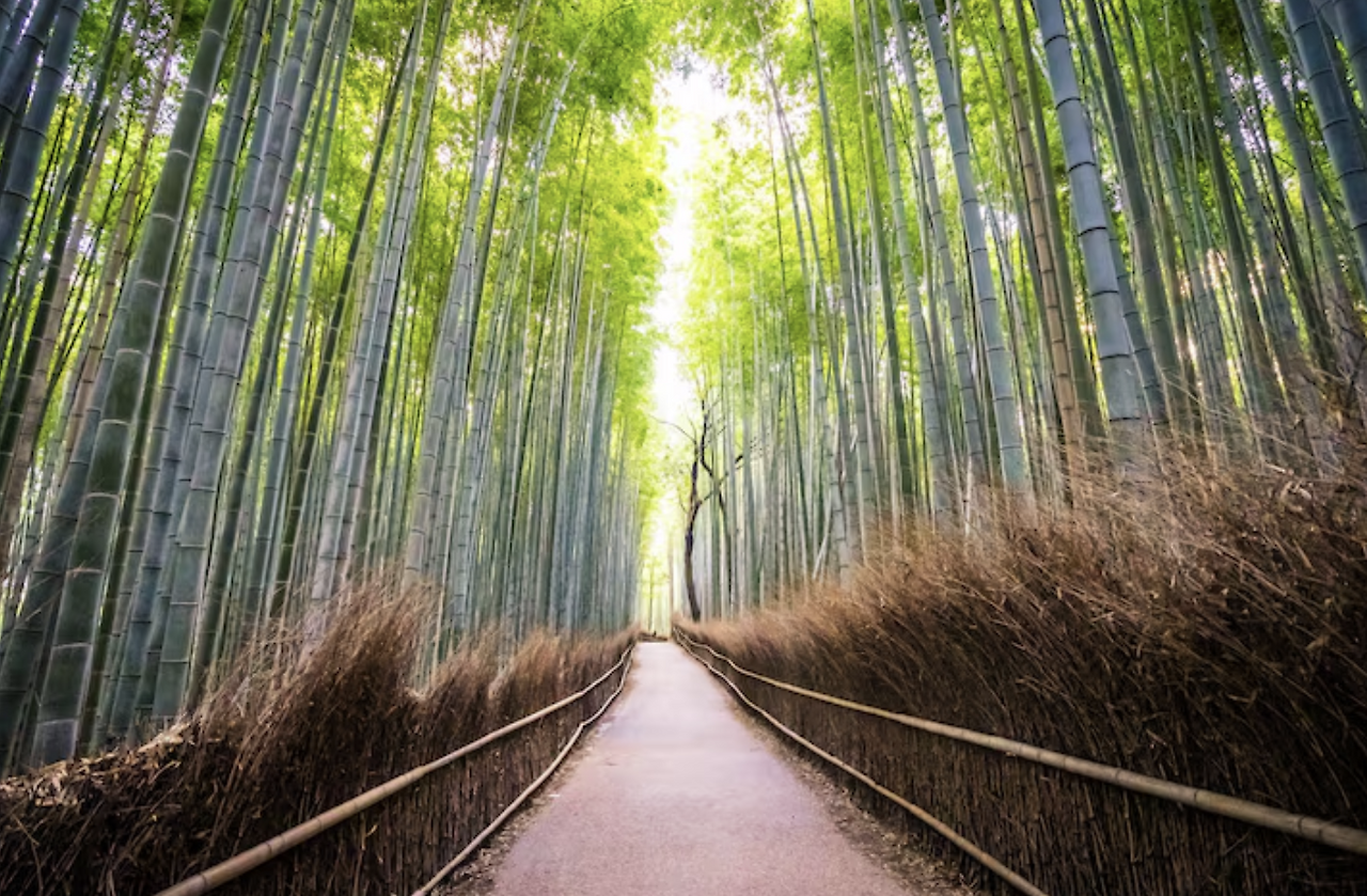 스크린샷 2025-12-29 195751.png