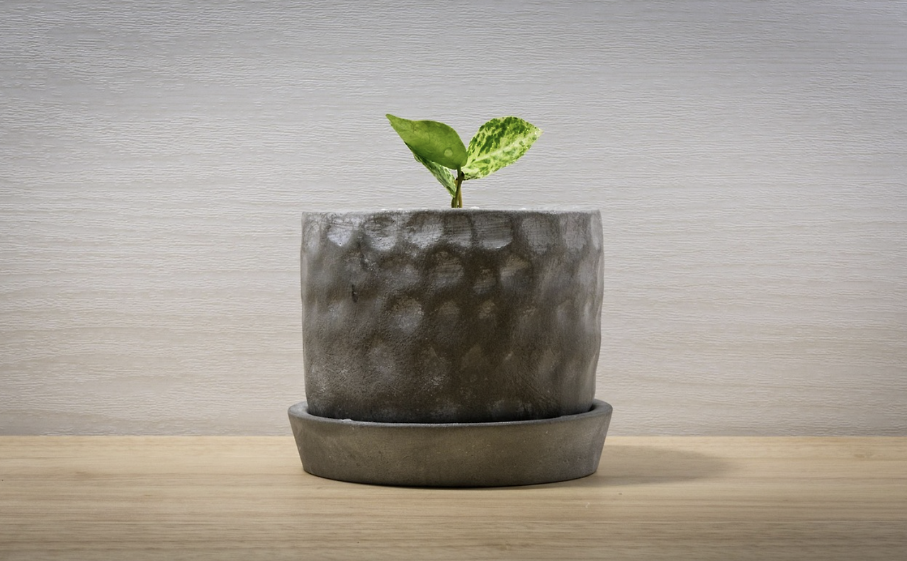 스크린샷 2025-09-05 193535.png