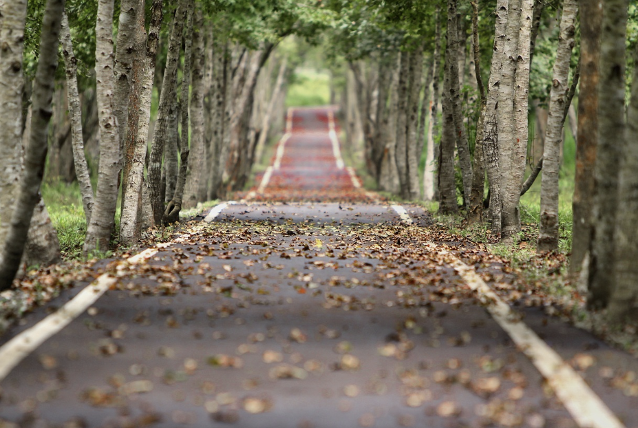 스크린샷 2023-07-25 000320.png