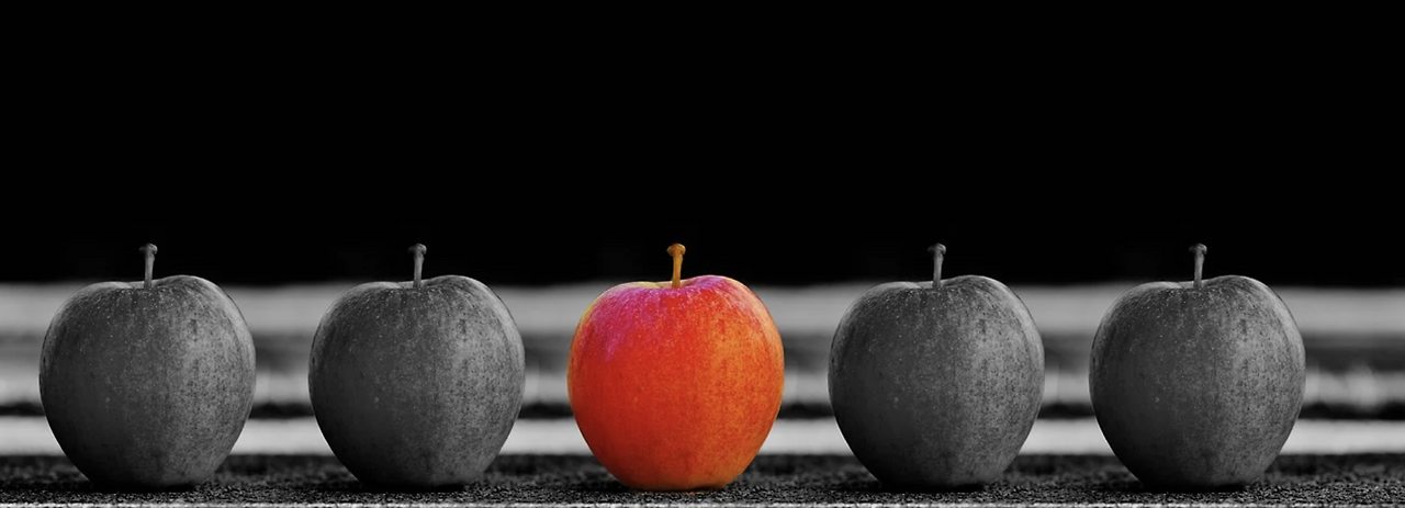 스크린샷 2022-02-08 오전 11.54.54.png