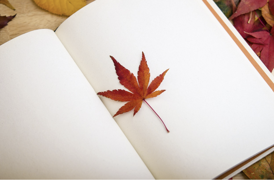 일상이 흔들린다면, 일기부터 1.png