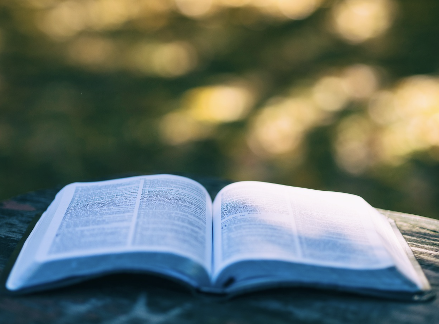 스크린샷 2023-08-31 19.29.44.png