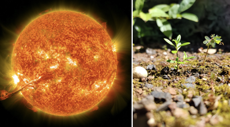 스크린샷 2023-04-10 오후 7.50.07.png