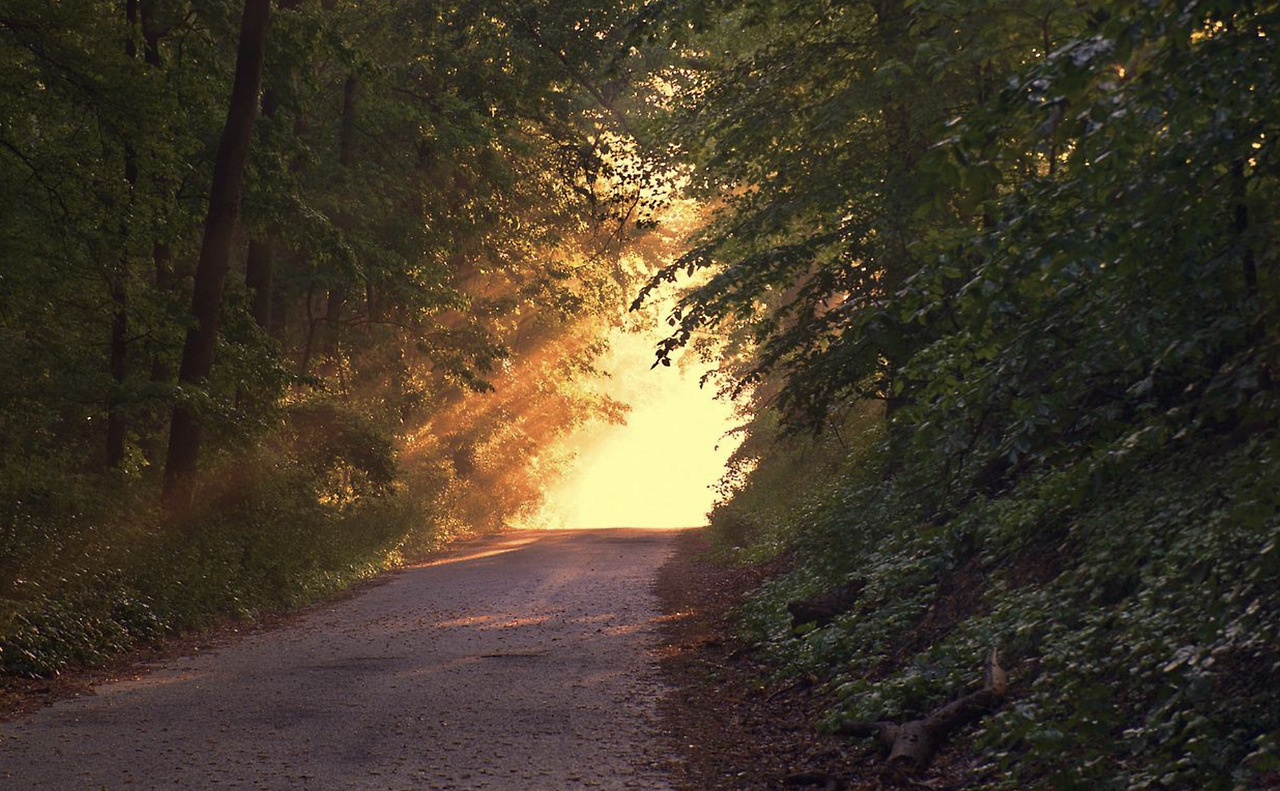 스크린샷 2022-06-01 오전 9.39.09.png