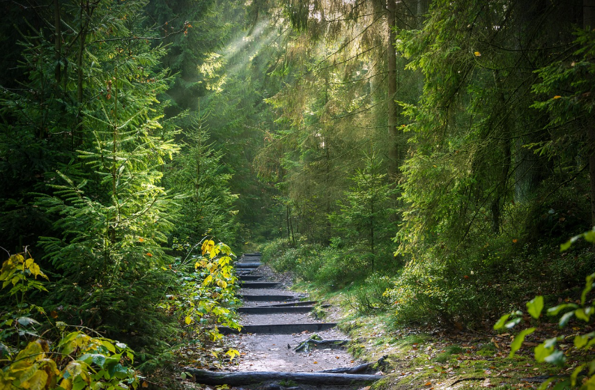 스크린샷 2025-09-27 055458.png