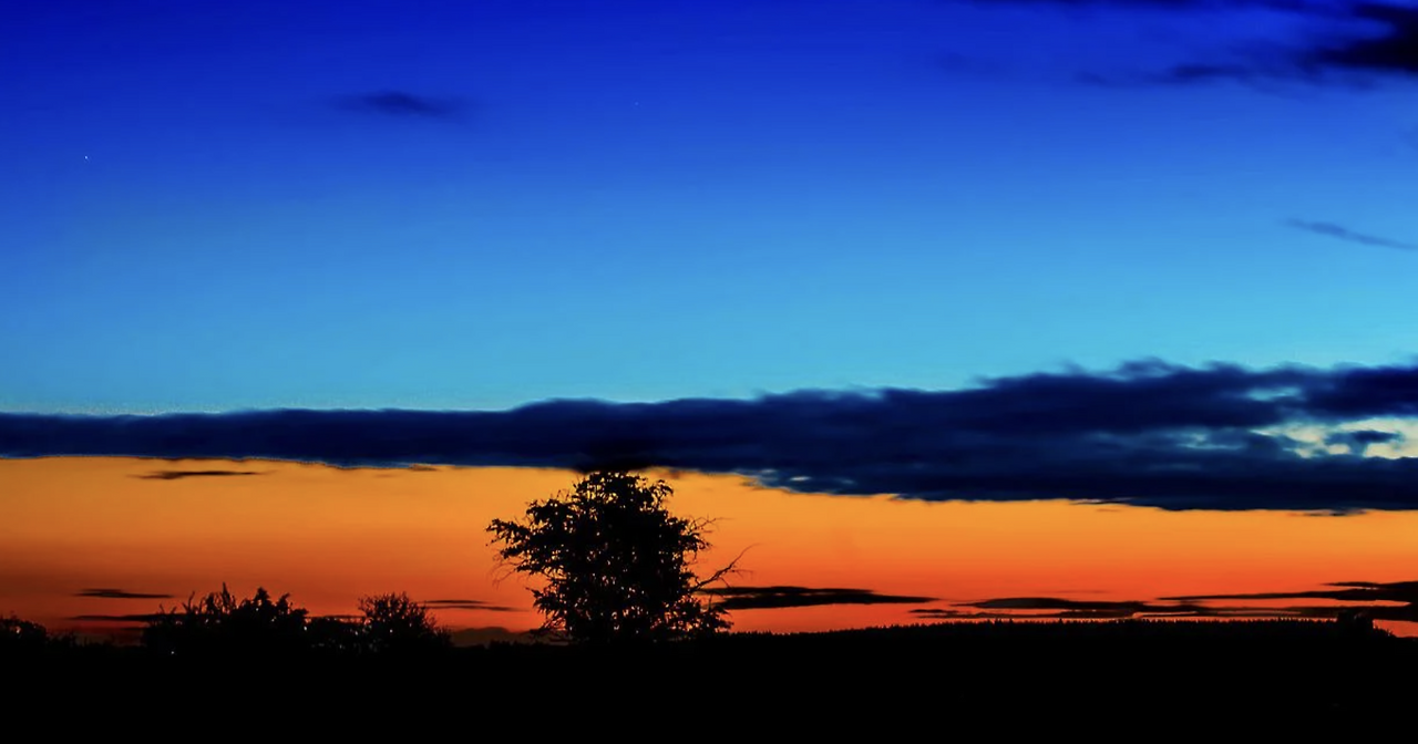 스크린샷 2022-07-07 오전 8.40.11.png