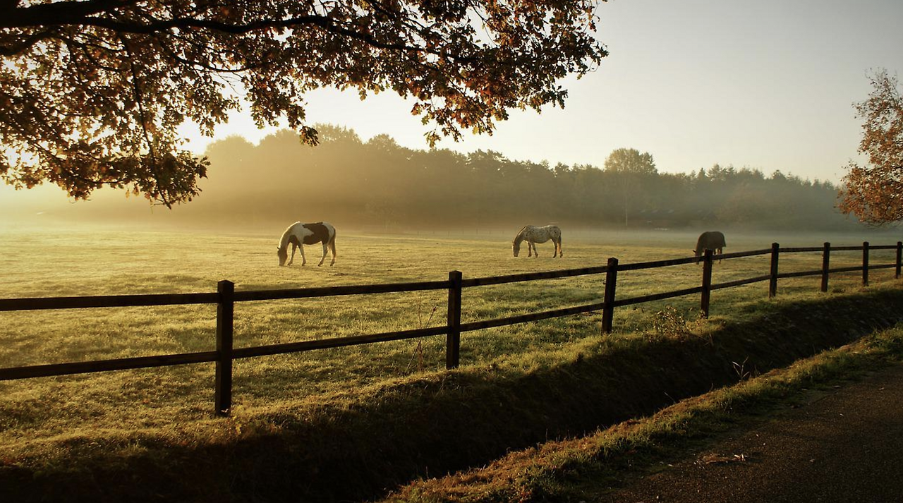스크린샷 2022-09-06 오전 9.21.12.png