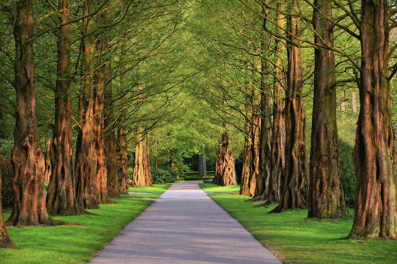 스크린샷 2025-06-28 오전 6.50.00.png