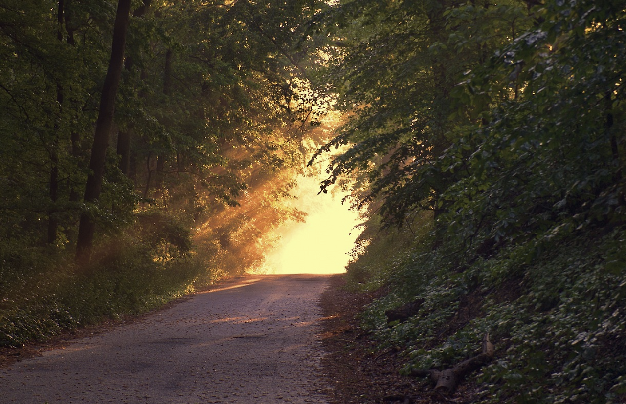 스크린샷 2024-02-27 172959.png