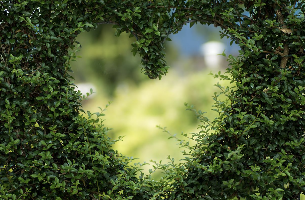 스크린샷 2022-09-08 오전 11.01.23.png