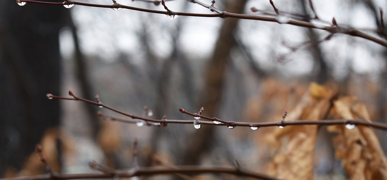 스크린샷 2022-03-01 오전 9.27.08.png