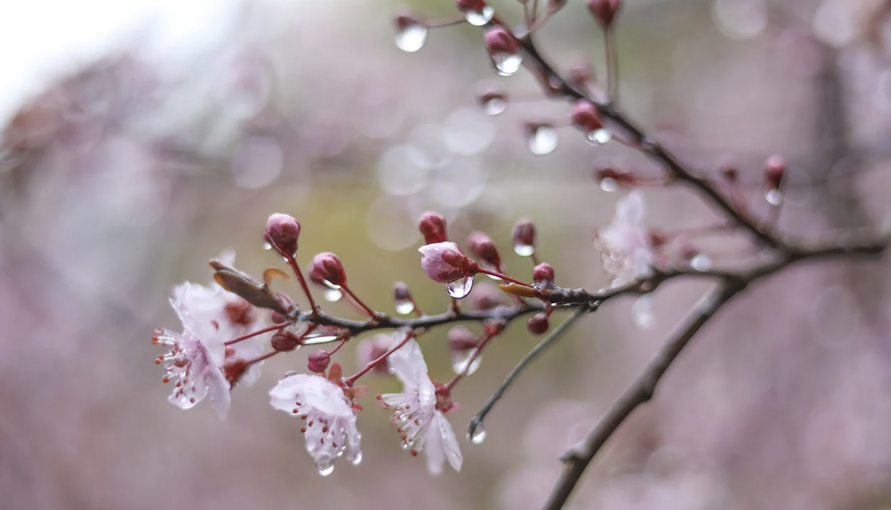 스크린샷 2022-04-14 오후 4.49.54.png