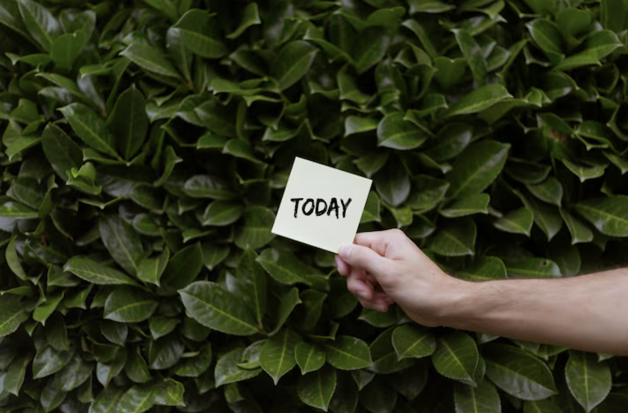 스크린샷 2025-10-13 082612.png