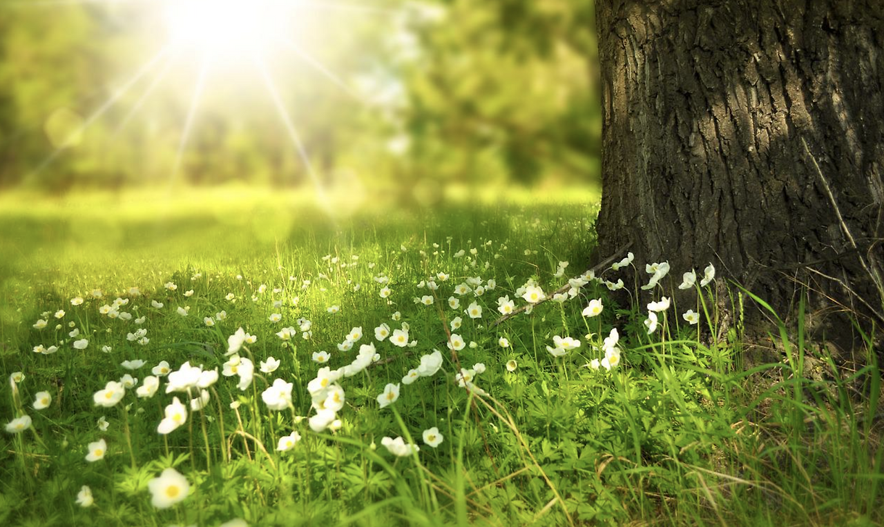 스크린샷 2022-06-25 오전 10.26.11.png