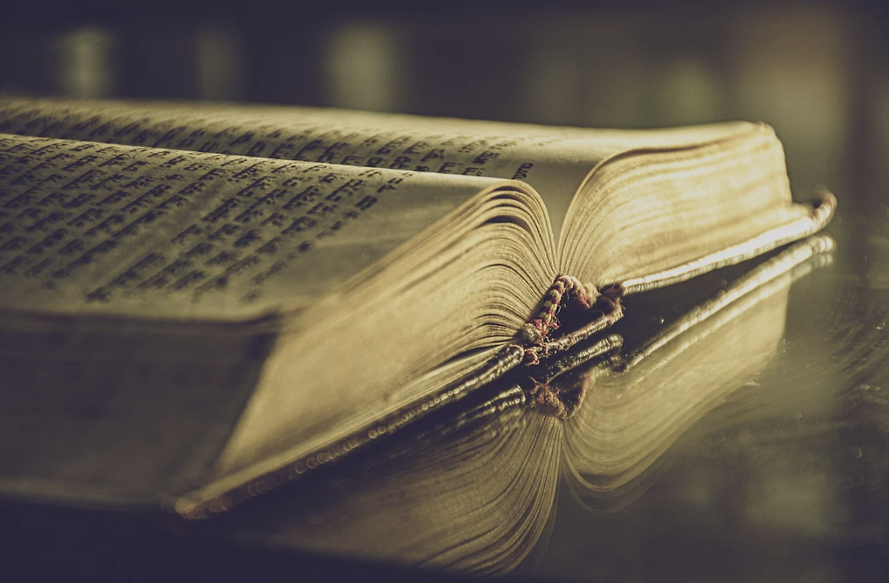 스크린샷 2024-11-11 오후 3.59.28.png