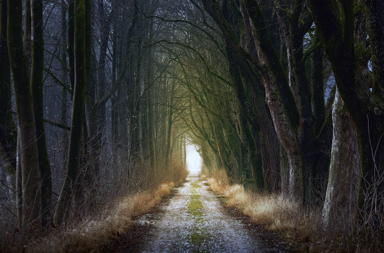 스크린샷 2024-01-23 133734.png