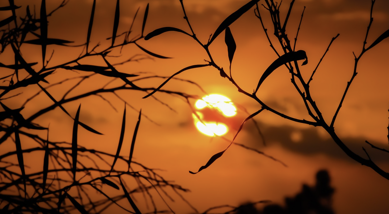 스크린샷 2023-12-27 133238.png