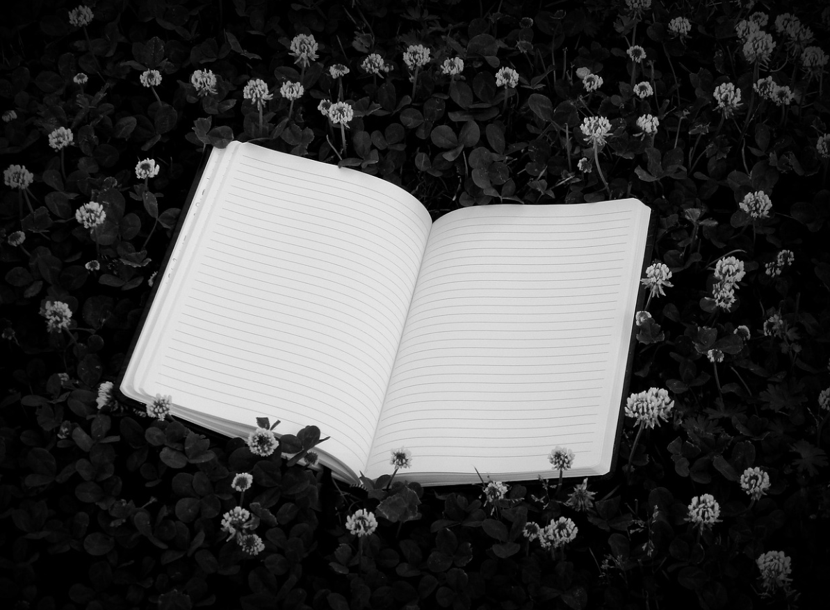 스크린샷 2024-11-27 090604.png