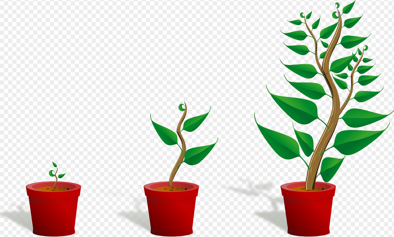 스크린샷 2025-02-05 124020.png