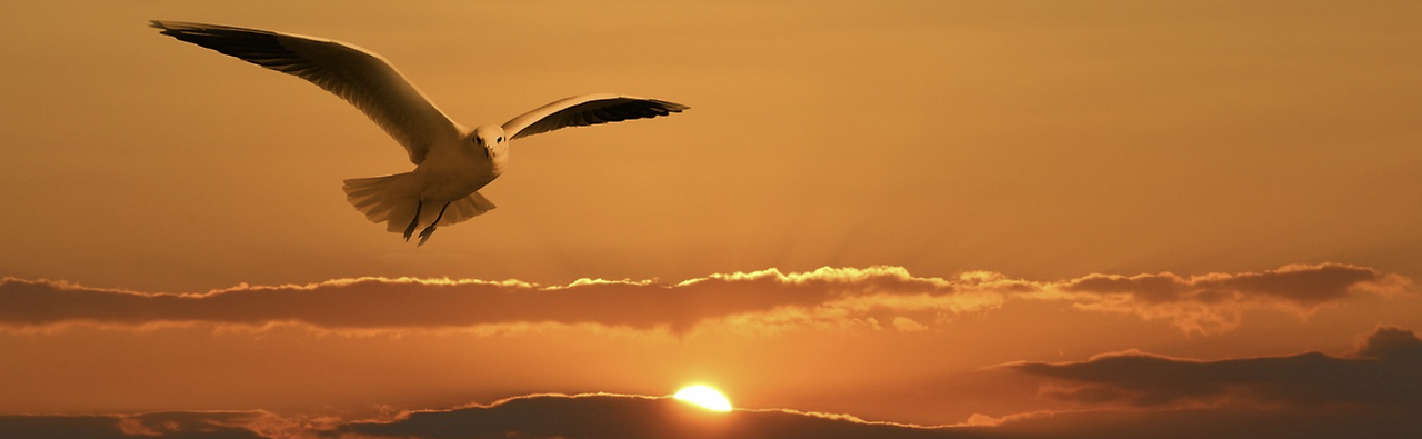 스크린샷 2023-08-27 225038.png