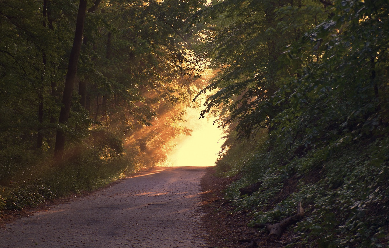 스크린샷 2023-05-07 오전 8.34.13.png