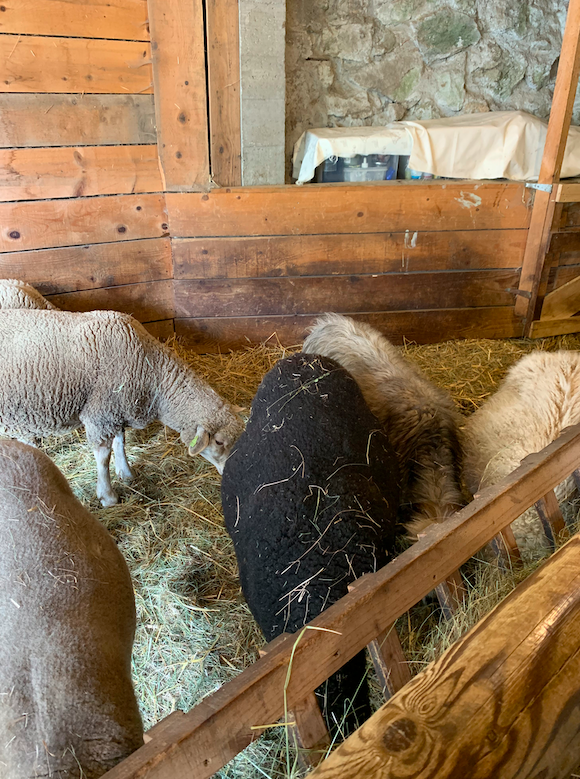 Capture d’écran 2024-04-12 à 16.04.09.png