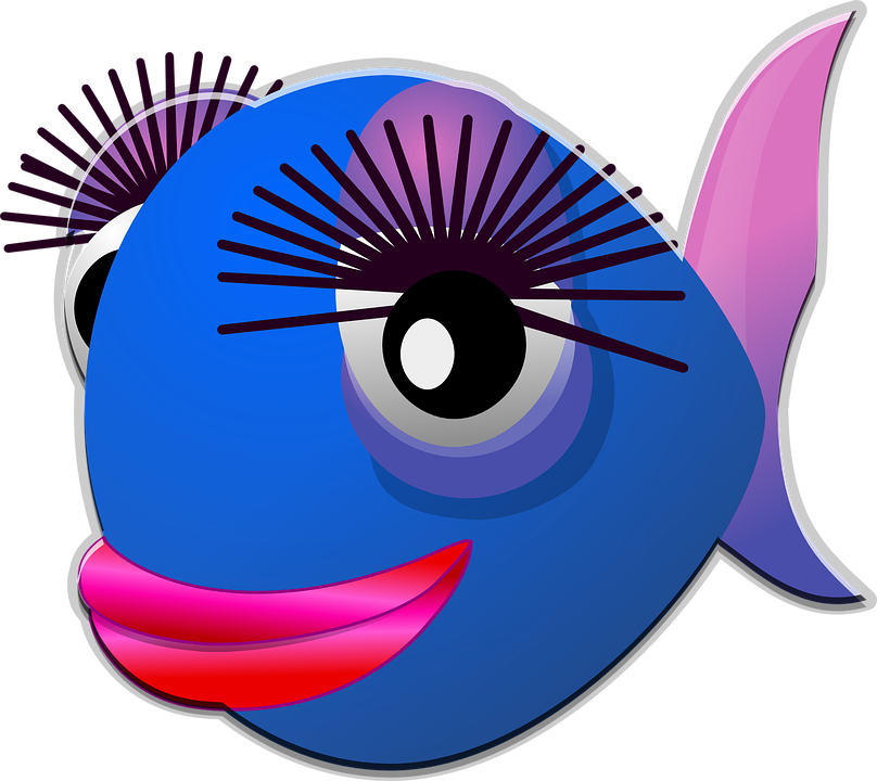fish-158336_960_720.png