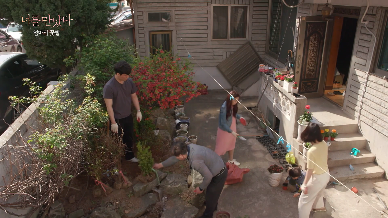 다시 가꾸는 꽃밭.png