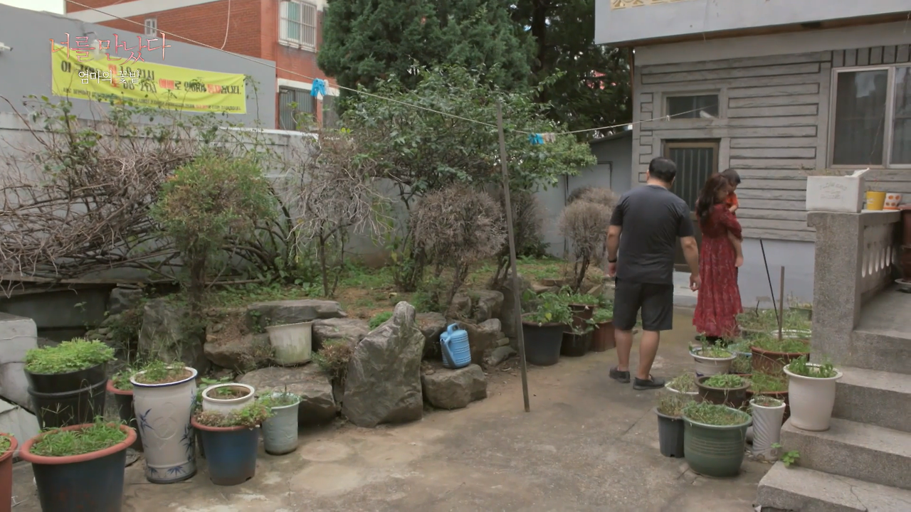 황폐해진 엄마의 꽃밭.png