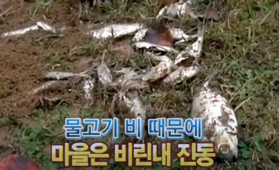 03_2022년 1월 4일 미국 텍사스에 내린 물고기 비. 사진 KBS TV News 화면 갈무리.png