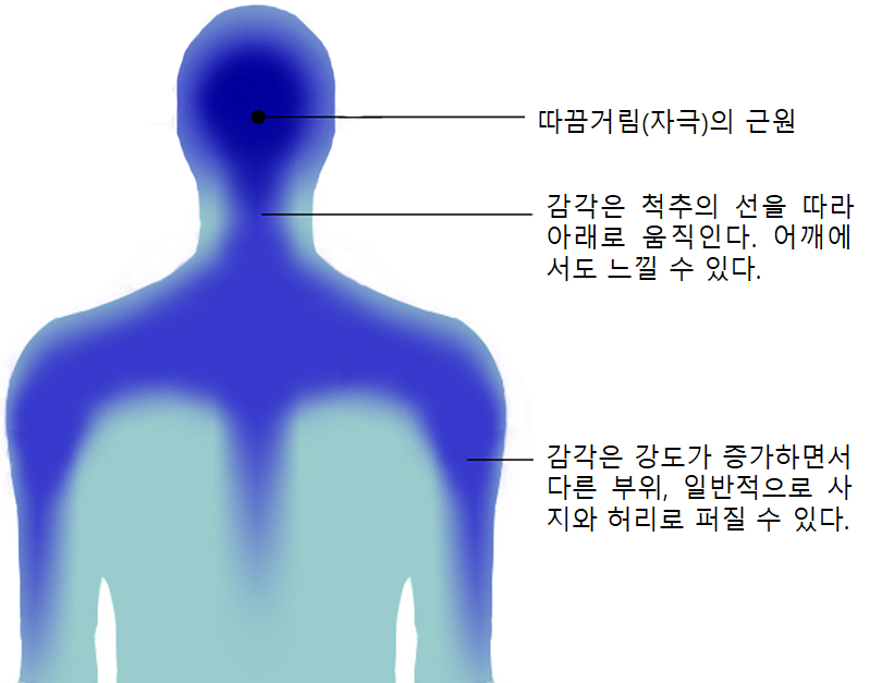 77_ASMR의 인체내 자극 현상. 그래픽 최정철.png