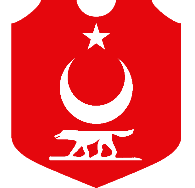 32_오스만투르크 제국 국기.png