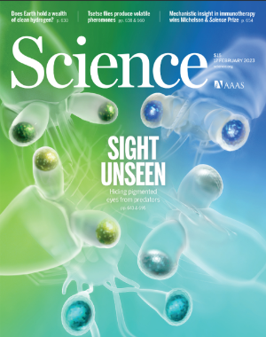 갑각류 유충.png