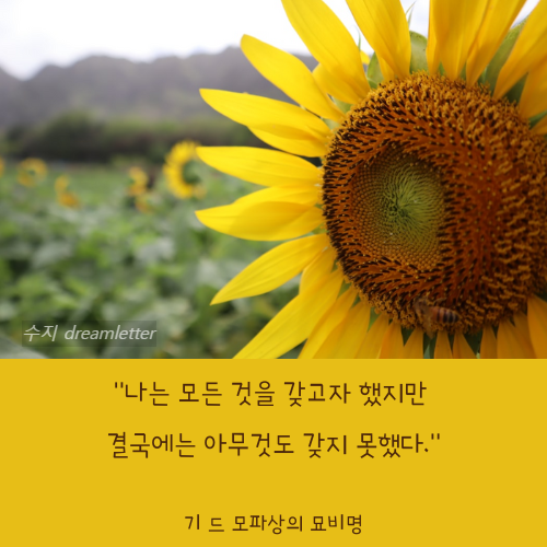 모파상의 묘비명.png