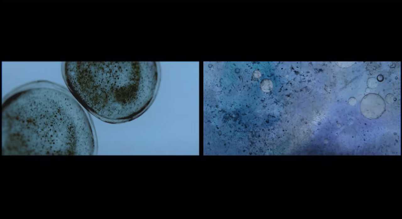 비스포크 인피니트  미생물.png