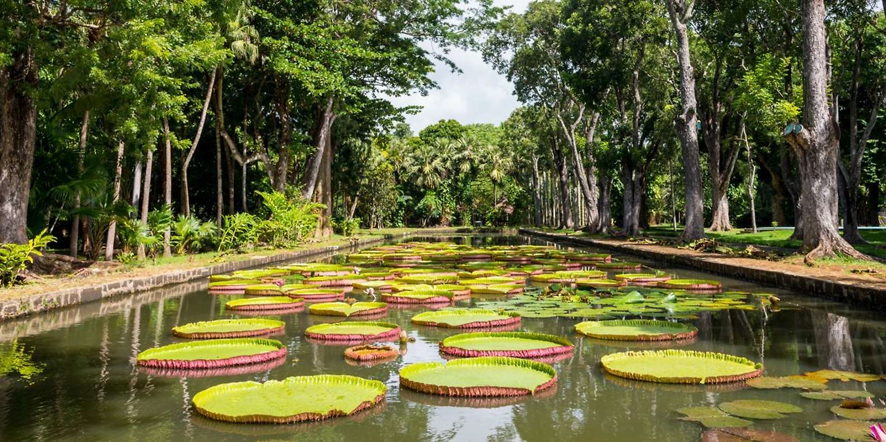 포트 루이스 1.png