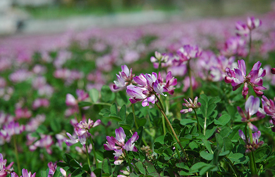 그대의 관대한 사랑.png