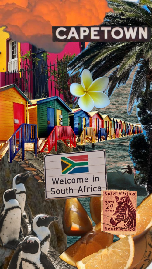 케이프타운.png