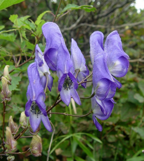 출처 경기문화관광신문.png