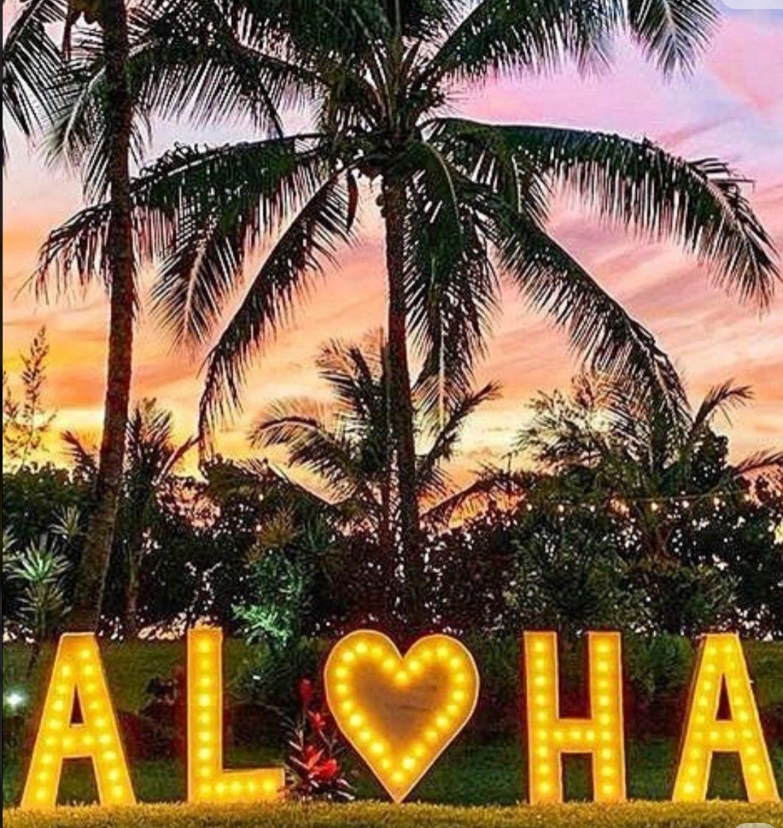알로하.png