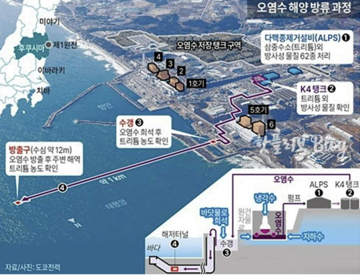 일본오염수_2.png