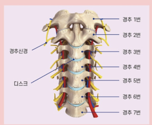 화면 캡처 2025-04-27 231341.png