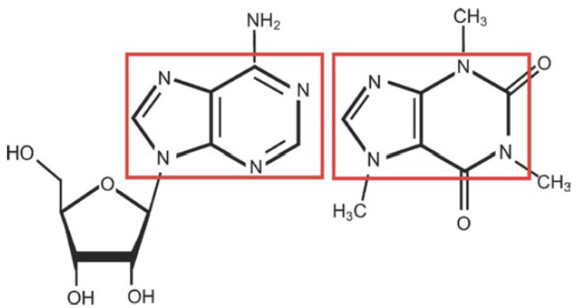 화면 캡처 2025-03-02 223420.png